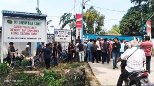 PT. LTS Labuhanbatu Tambah PKS Kebunnya Entah Dimana ?  Diduga Melanggar Permentan No.98 Tahun 2013