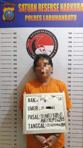 Polisi Bekuk Pengedar Ganja di Bilah Hulu