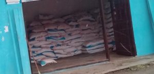 Pupuk Selangit, Petani Pasaman dan Pasbar ‘Menjerit’ Terancam Gagal Panen