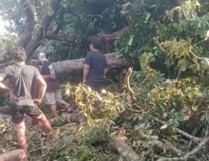 Berteduh Saat Gerimis, Dua Dari Enam Pemancing Tewas Tertimpa Pohon Durian di Alang Tunas Marbau