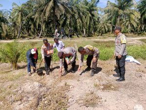 Polsek Bilah Hilir, Tanam Jagung Perdana Kuartal III Seluas 5 Hektar di Desa Sennah