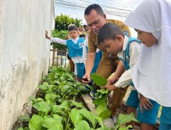 ‎Kadisdik Labuhanbatu Panen Bersama Siswa TK Pembina‎