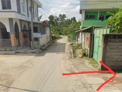 ‎Polisi Diminta Ungkap Jaringan Narkoba TN di Dusun Cinta Makmur Aek Nabara‎‎