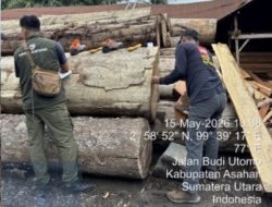 Operasi Gabungan Gakum Kemenhut Amankan 1.677 Kayu Bulat Gelondongan Asal Labura dari 5 Lokasi Berbeda di Asahan