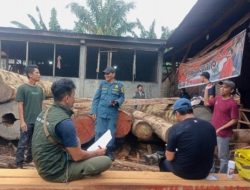 Apresiasi Masyarakat Mengalir, Gakkum  Kemenhut Wilayah Sumatera Tindak Tegas Dugaan Ilegal Logging di Labura