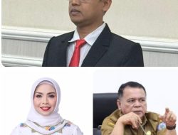Mohon Perlindungan, Mantan Kadiskes dr Raja Lontung Minta Gubernur Bobby Panggil dan Periksa Bupati dan Sekda Labuhanbatu