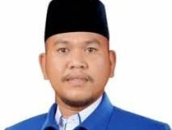 ‎Kader Demokrat Inisiasi Turnamen Bola Piala Ketua DPRD Nasdem, Disebut Sinyal Pindah Partai?, Ini Kata Ketua Demokrat Labuhanbatu‎‎