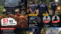 ‎Aktivis Soroti Kasus Pencurian 51 Tbs PTPN IV Reg-II Berangir dijual ke Toke Lokal, Kanit Polsek dan Manajer Unit Kompak Bungkam‎‎