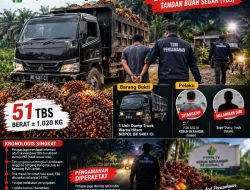 ‎Aktivis Soroti Kasus Pencurian 51 Tbs PTPN IV Reg-II Berangir dijual ke Toke Lokal, Kanit Polsek dan Manajer Unit Kompak Bungkam‎‎
