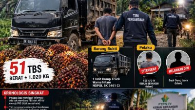 ‎Aktivis Soroti Kasus Pencurian 51 Tbs PTPN IV Reg-II Berangir dijual ke Toke Lokal, Kanit Polsek dan Manajer Unit Kompak Bungkam‎‎